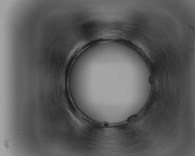 X0000093470686200710121011