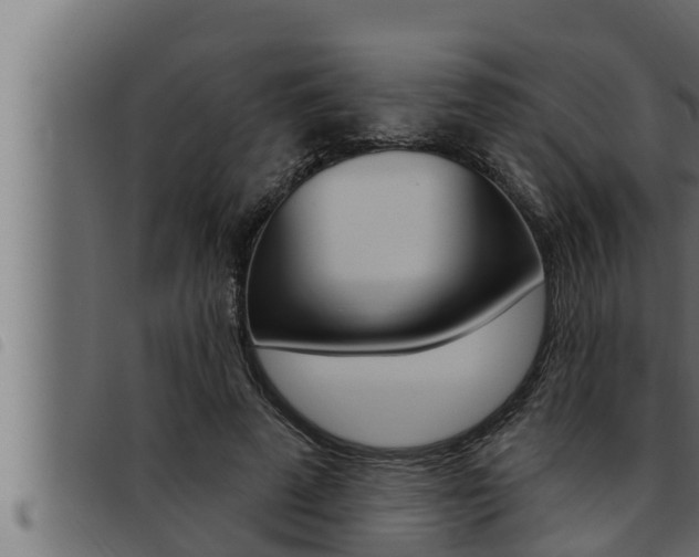 X0000093470689200710121011