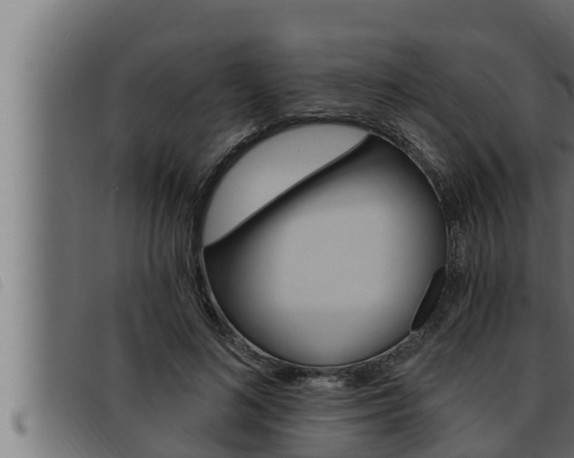 X0000093470692200710121011