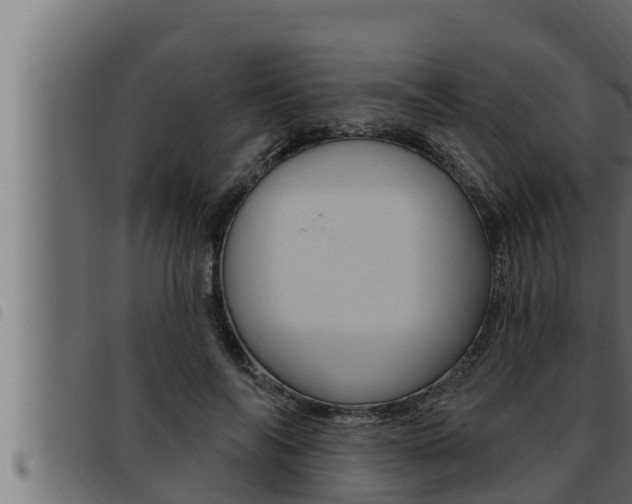 X0000093470694200710121011