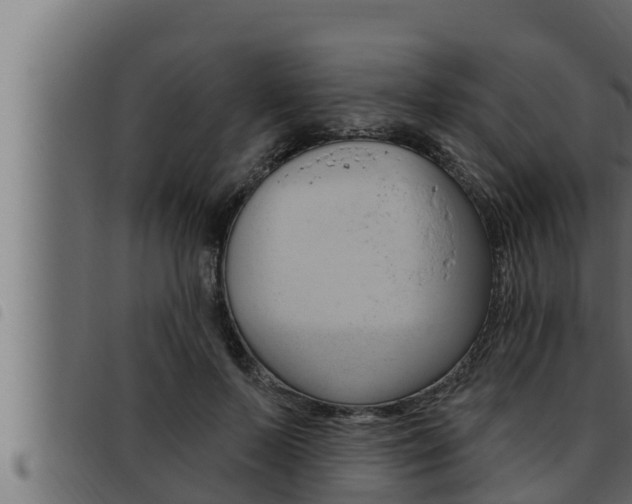 X0000093470695200710121011