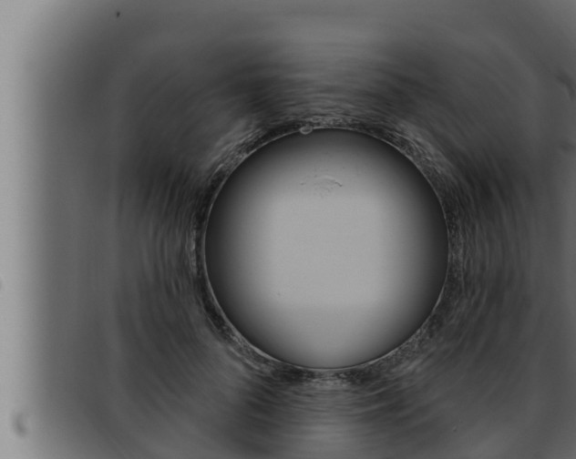 X0000093470696200710121011