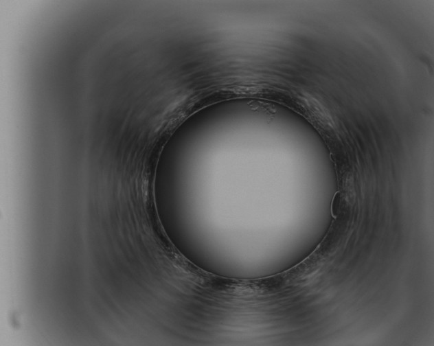 X0000093470697200710121011