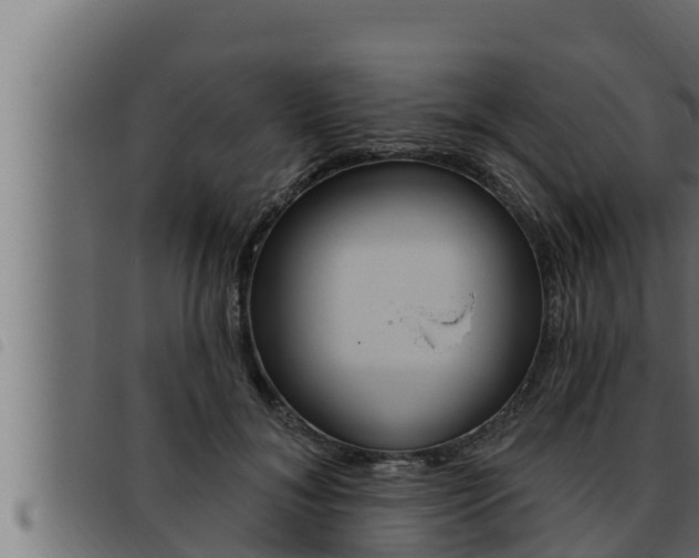 X0000093470700200710121011