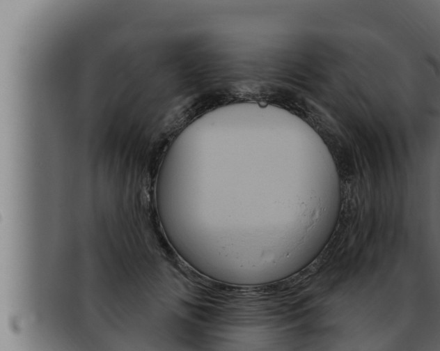 X0000093470702200710121011