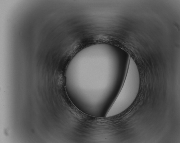 X0000093470708200710121011