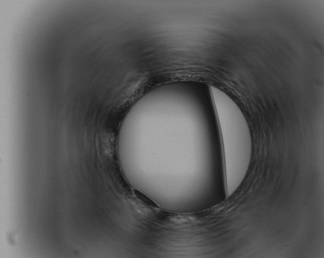 X0000093470712200710121011