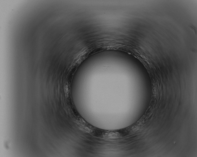 X0000093470716200710121011