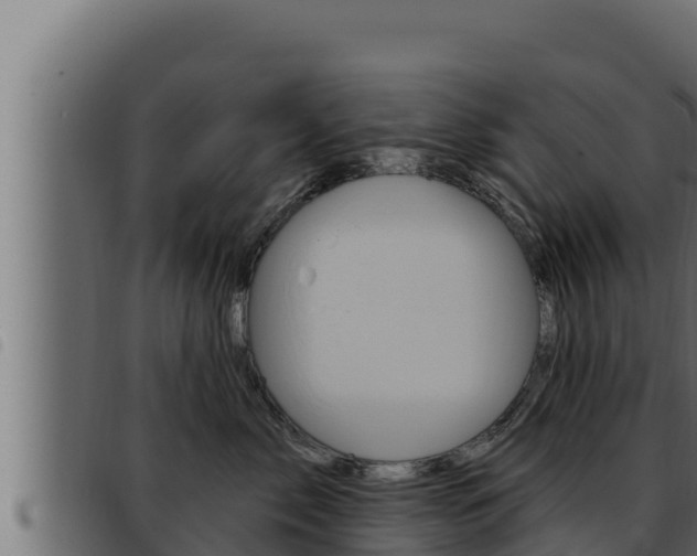 X0000093470717200710121011