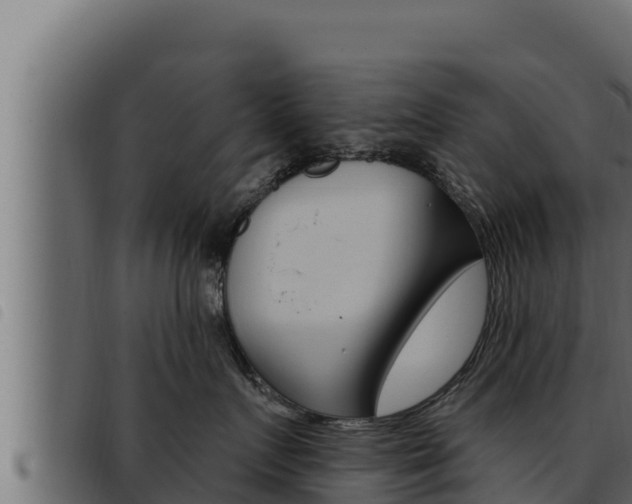 X0000093470719200710121011