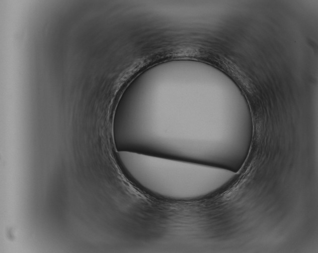 X0000093470721200710121010