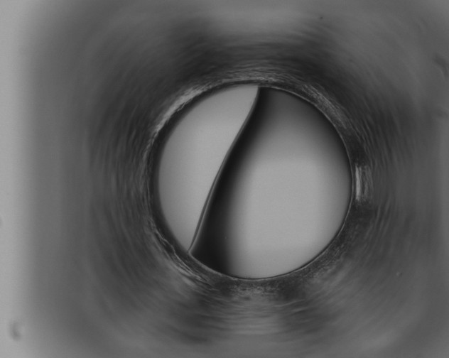 X0000093470723200710121010