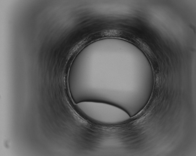 X0000093470725200710121010