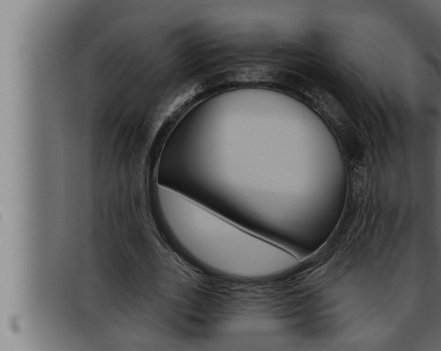 X0000093470727200710121010