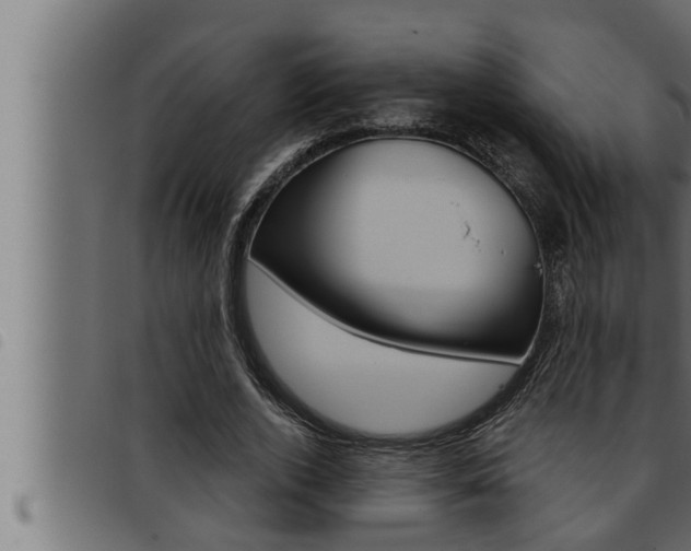 X0000093470728200710121010