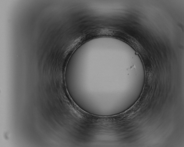 X0000093470729200710121010