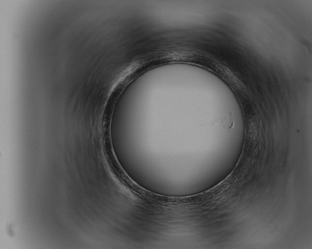 X0000093470730200710121010