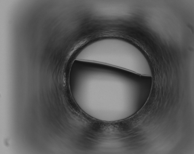 X0000093470731200710121010