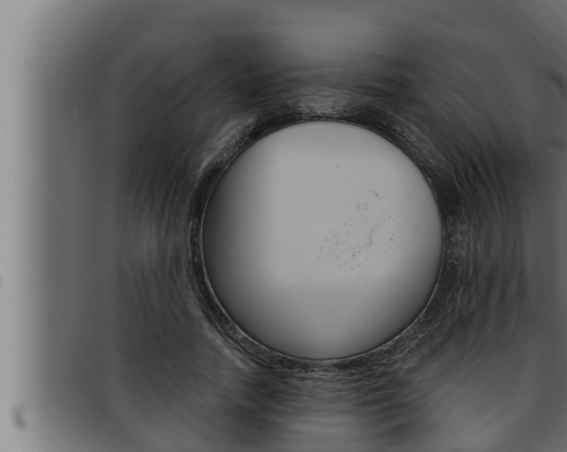 X0000093470738200710121010