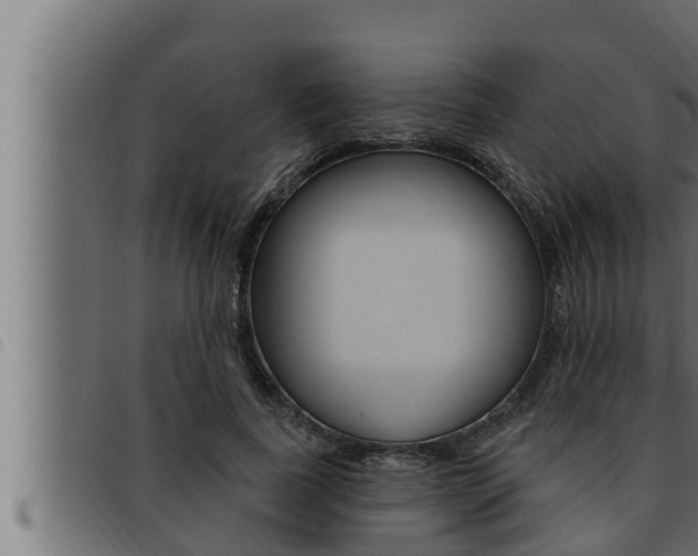 X0000093470739200710121010
