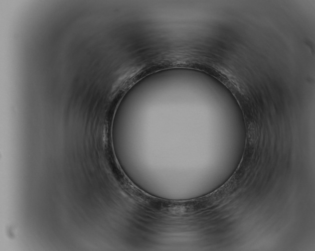 X0000093470740200710121010