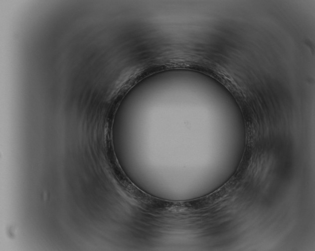 X0000093470742200710121010