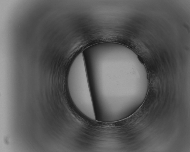 X0000093470744200710121010