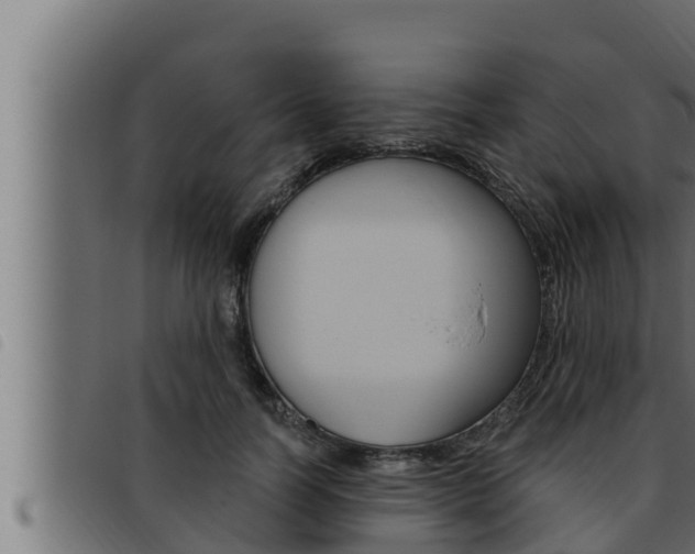 X0000093470746200710121010