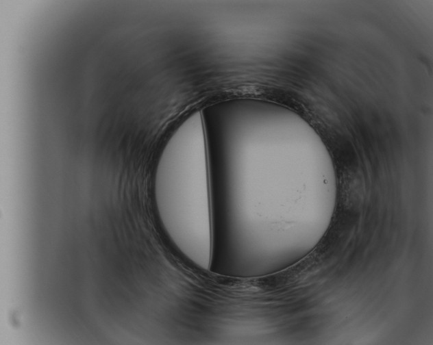 X0000093470747200710121010
