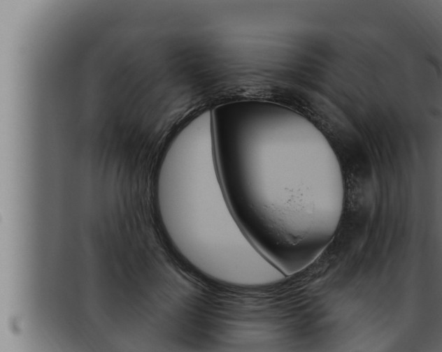 X0000093470748200710121010