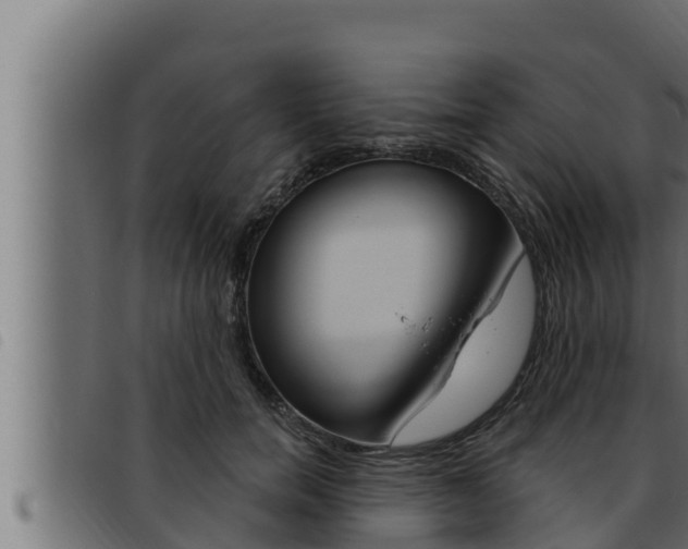 X0000093470750200710121010