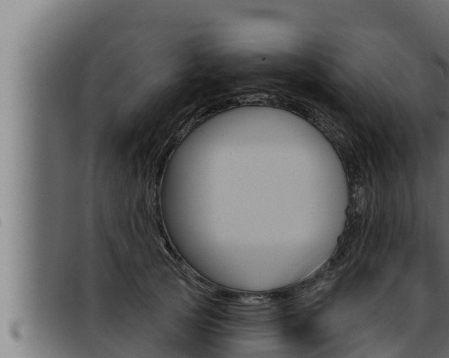 X0000093470753200710121010