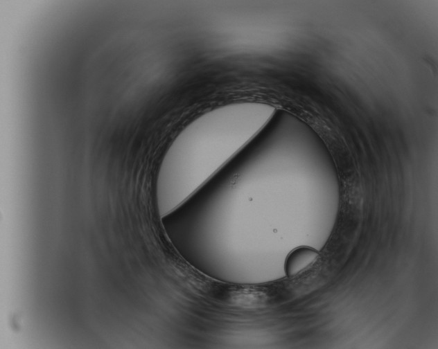 X0000093470754200710121010
