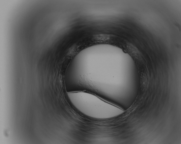 X0000093470758200710121010