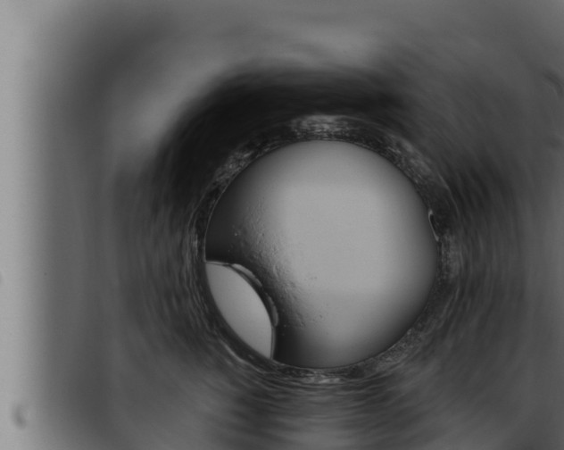X0000093470760200710121010