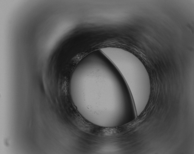X0000093470762200710121010