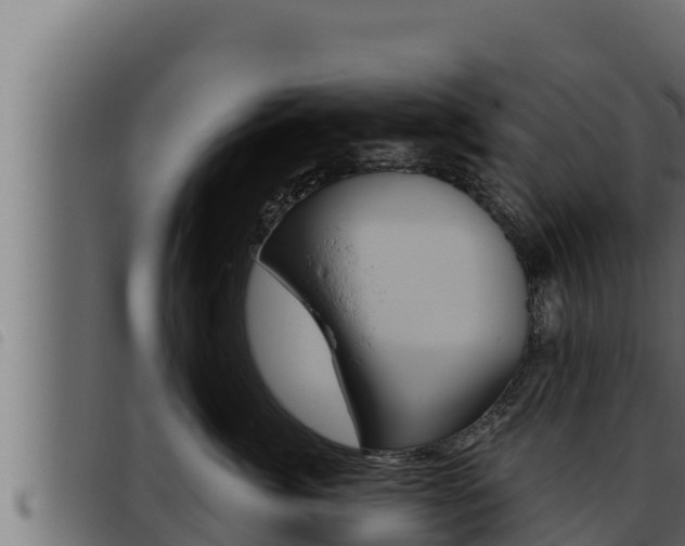 X0000093470764200710121011