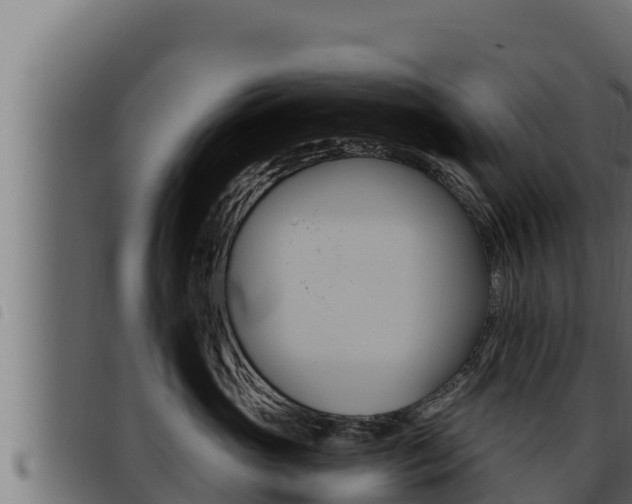 X0000093470765200710121011