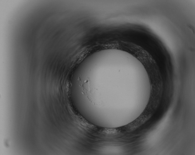 X0000093470767200710121011