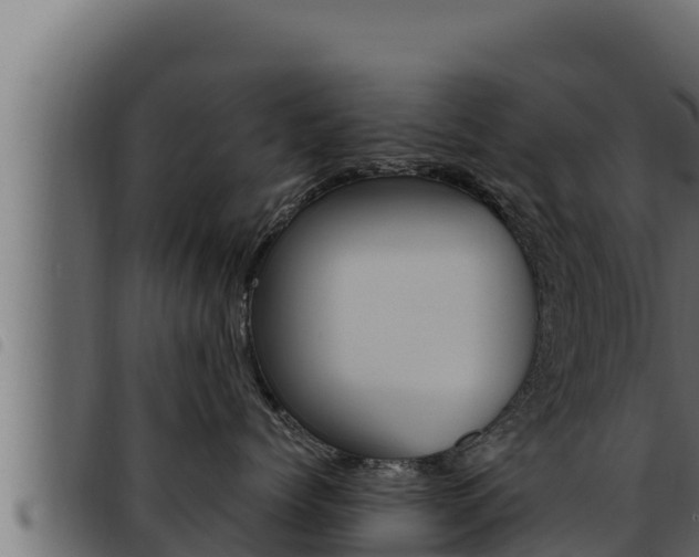 X0000093470768200710121011
