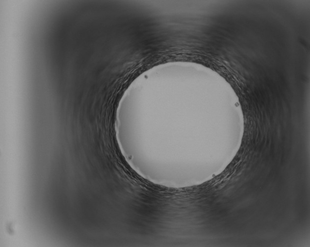 X0000093470769200710121010