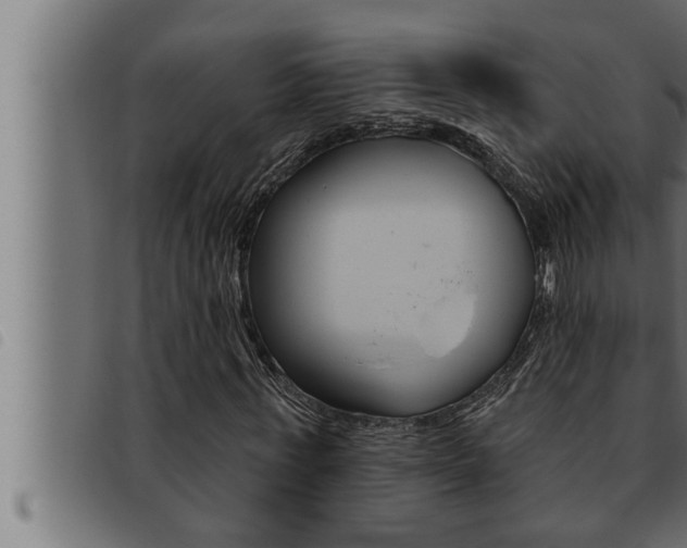 X0000093470771200710121010