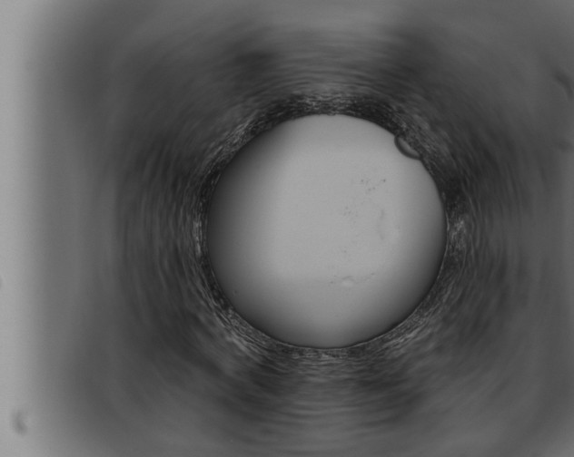 X0000093470772200710121010