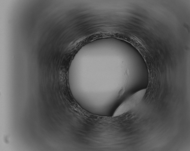 X0000093470773200710121010
