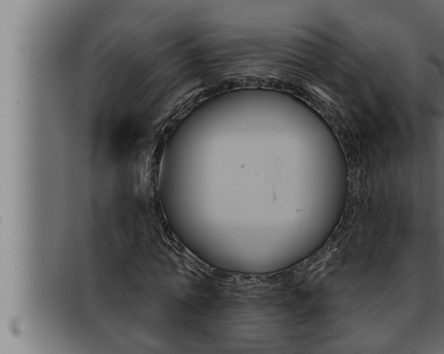 X0000093470774200710121010