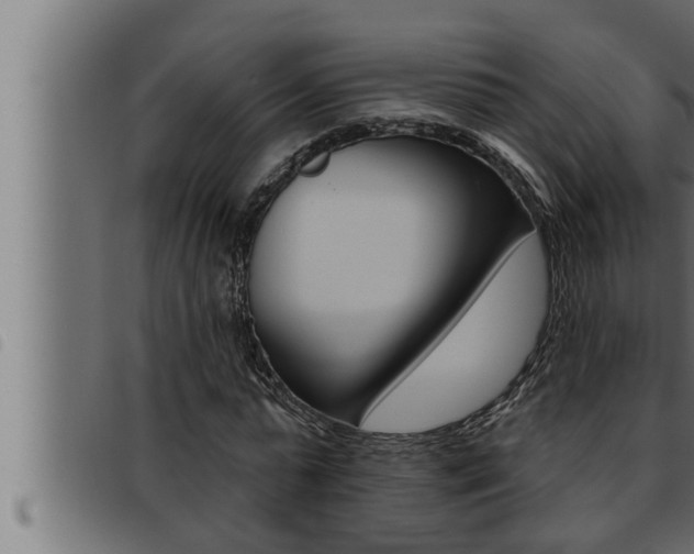 X0000093470775200710121010
