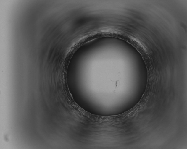 X0000093470776200710121010