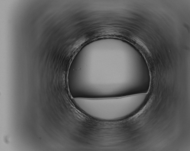 X0000093470777200710121010