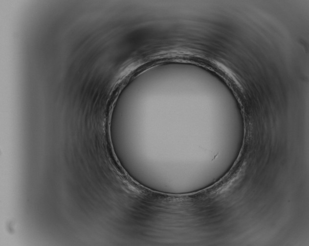 X0000093470778200710121010