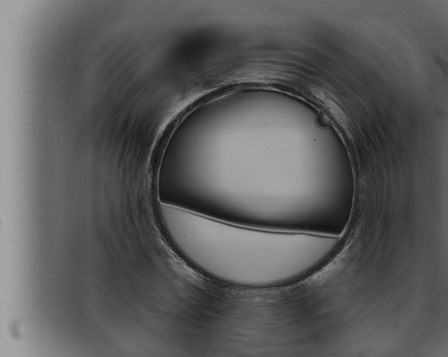 X0000093470779200710121010